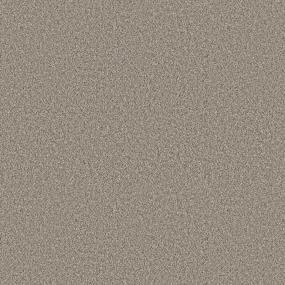 Textured Saxony FOSSIL PATH Beige/Tan Carpet