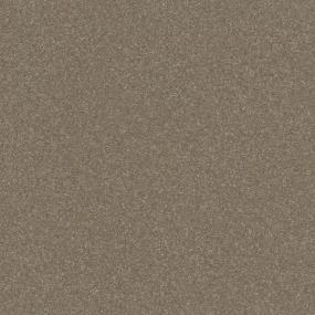 Textured Saxony Mocha Beige/Tan Carpet