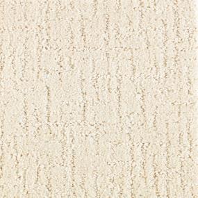 Pattern Chamois Cloth White Carpet