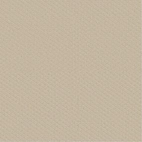 Pattern Shifting Sand Beige/Tan Carpet