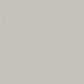 Casual Texture Vanity Gray Carpet