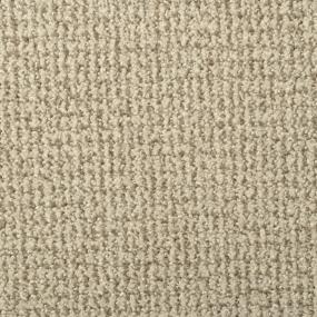 Pattern Cobblestone Beige/Tan Carpet