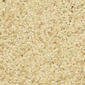 Casual Texture Baskul Beige/Tan Carpet