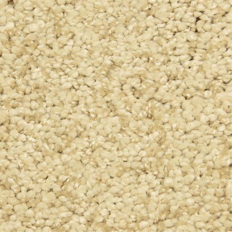 Casual Texture Baskul Beige/Tan Carpet