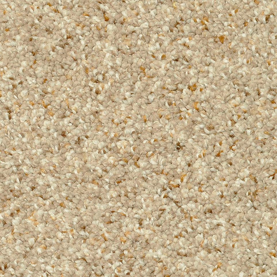 Frieze Grey Tweed Beige/Tan Carpet