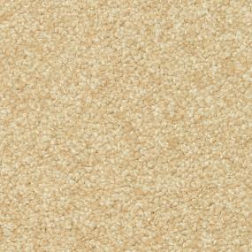 Casual Texture Tawny Birch Beige/Tan Carpet