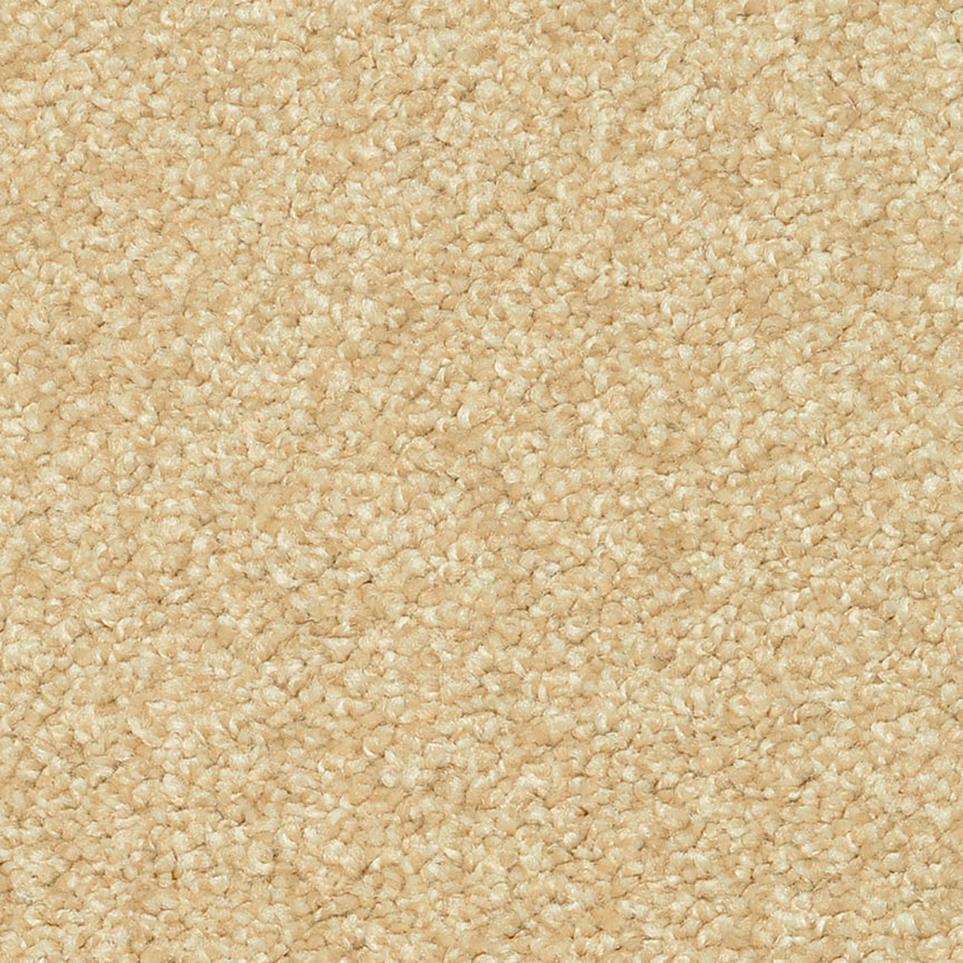 Frieze Tawny Birch  Carpet