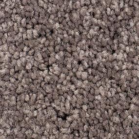 Textured Saxony RUSTIC VILLA Brown Carpet