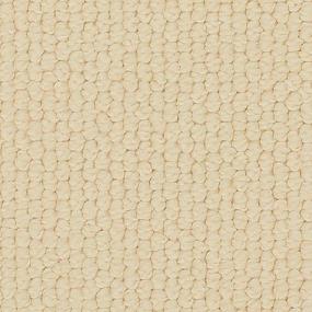 Loop Canvas Beige/Tan Carpet