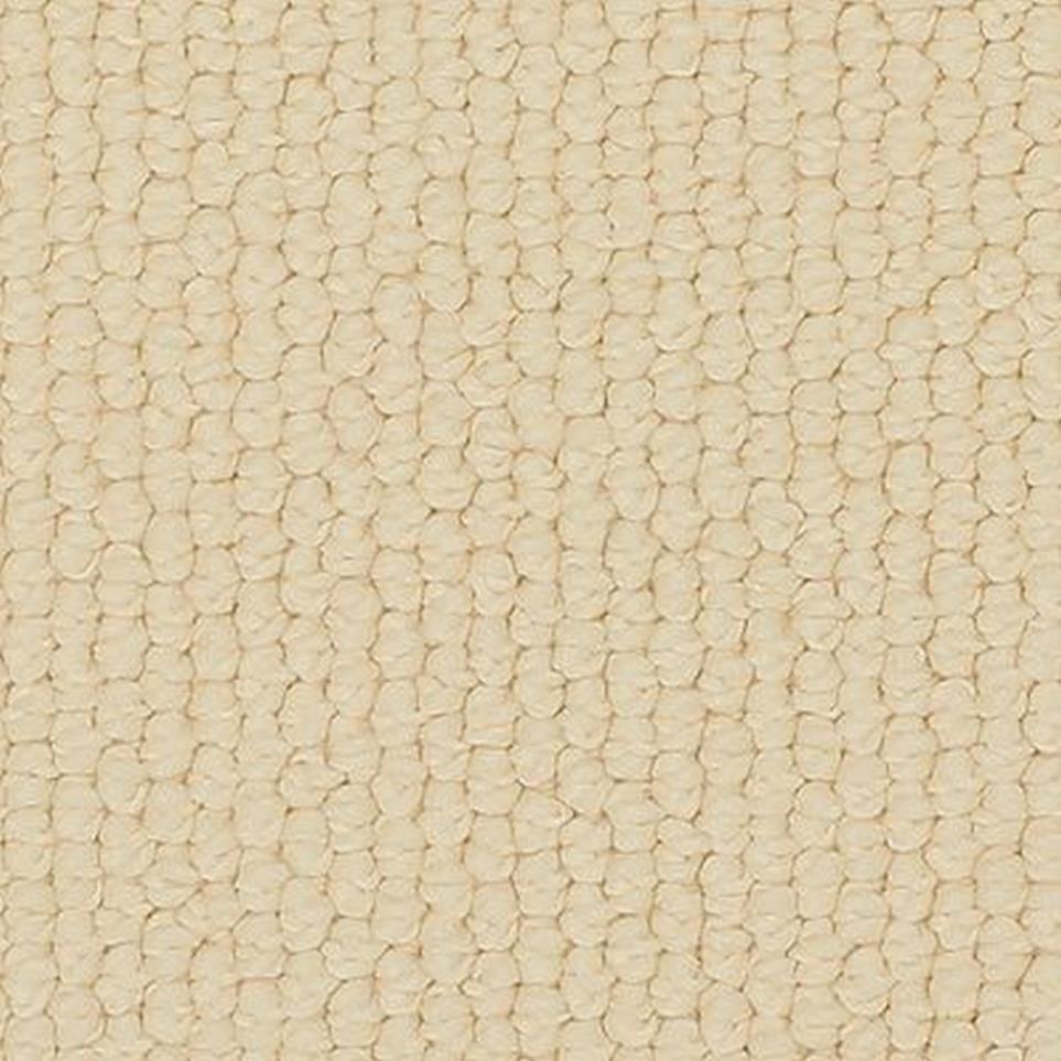 Loop Canvas Beige/Tan Carpet