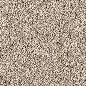 Textured Saxony Opulence Beige/Tan Carpet