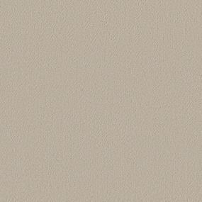 Pattern Sepia Beige/Tan Carpet
