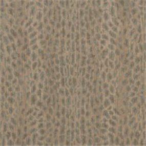 Pattern Stonewash Beige/Tan Carpet