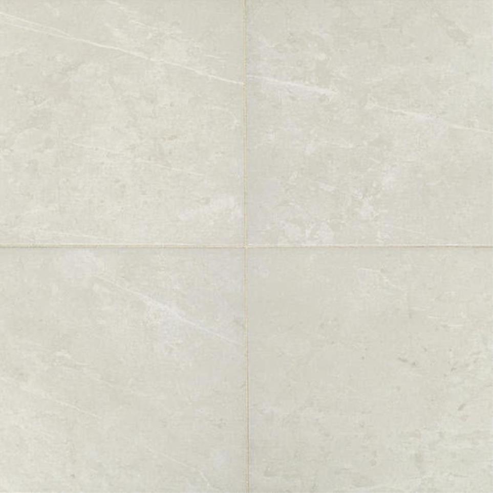Tile Vitality White Matte White Tile