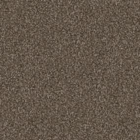 Textured Saxony Tarnished Brown Carpet