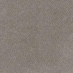 Cut Pile Marvel Brown Carpet