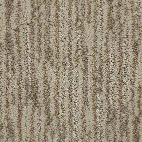 Pattern Chiffon Beige/Tan Carpet