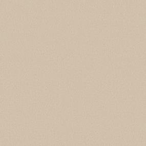 Texture Butter Pecan Beige/Tan Carpet
