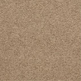 Casual Texture Cliffs Brown Carpet