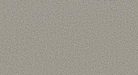 Textured Saxony Skipper Beige/Tan Carpet