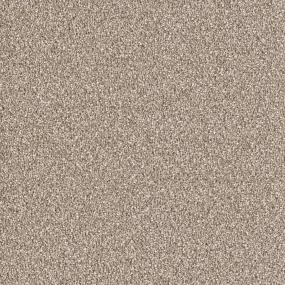 Plush Saxony Southern Comfort Beige/Tan Carpet
