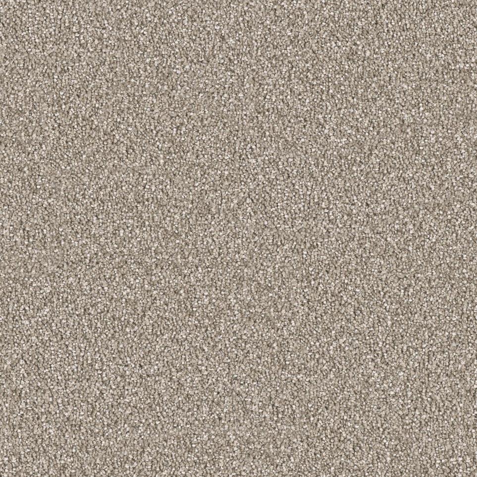 Plush Southern Comfort Beige/Tan Carpet