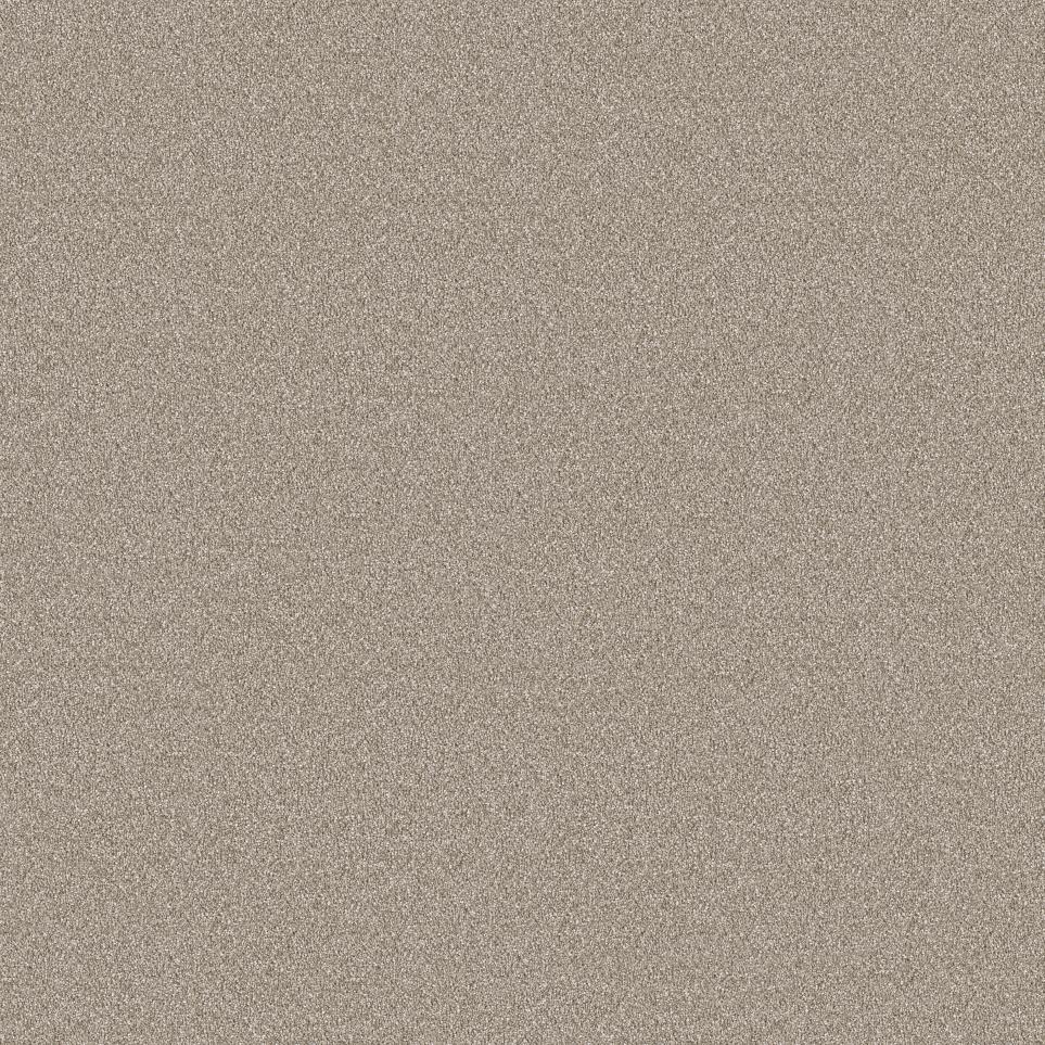 Plush Southern Comfort Beige/Tan Carpet