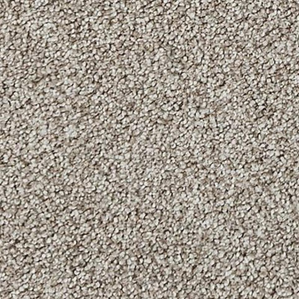 Textured Saxony BONITA Gray Carpet
