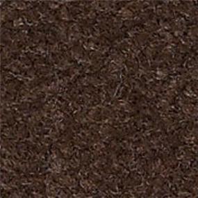 Cut Pile Chocolate Pudding Brown Carpet