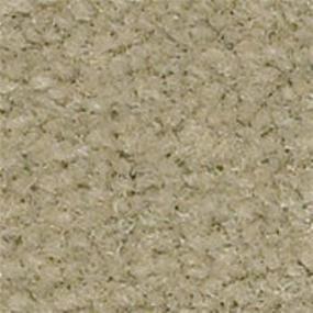 Texture Cracker Crumb Beige/Tan Carpet