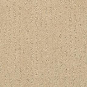 Pattern Sedge Beige/Tan Carpet