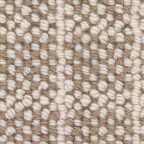 Woven Desert Sands Gray Carpet