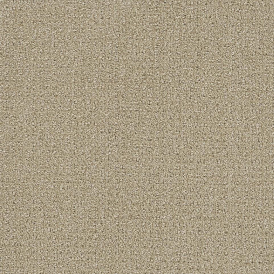 Pattern Hall Of Fame Brown Carpet