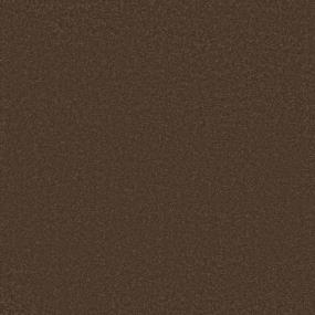 Textured Saxony Western Brown Carpet