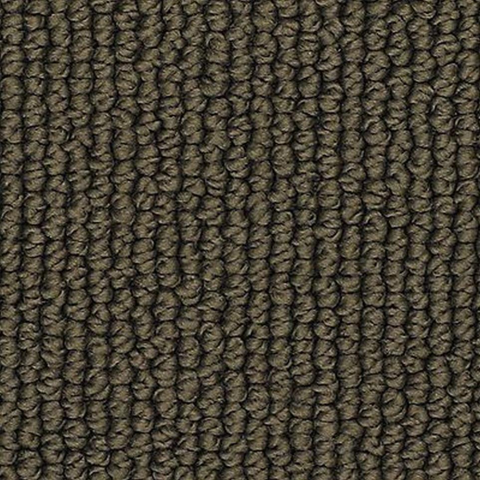 Loop Dark Chocolate Brown Carpet