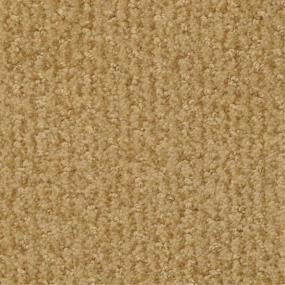 Pattern Putter Beige/Tan Carpet