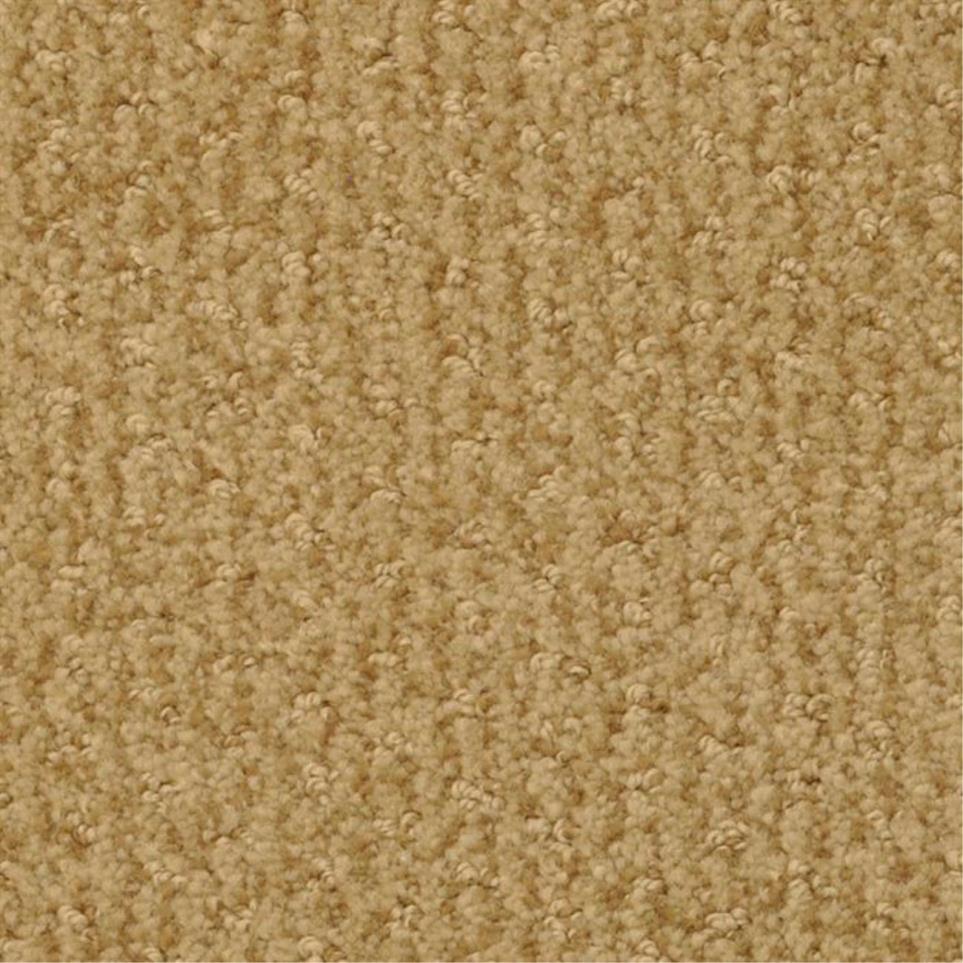 Pattern Putter Beige/Tan Carpet