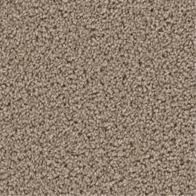 Textured Saxony Admire Beige/Tan Carpet