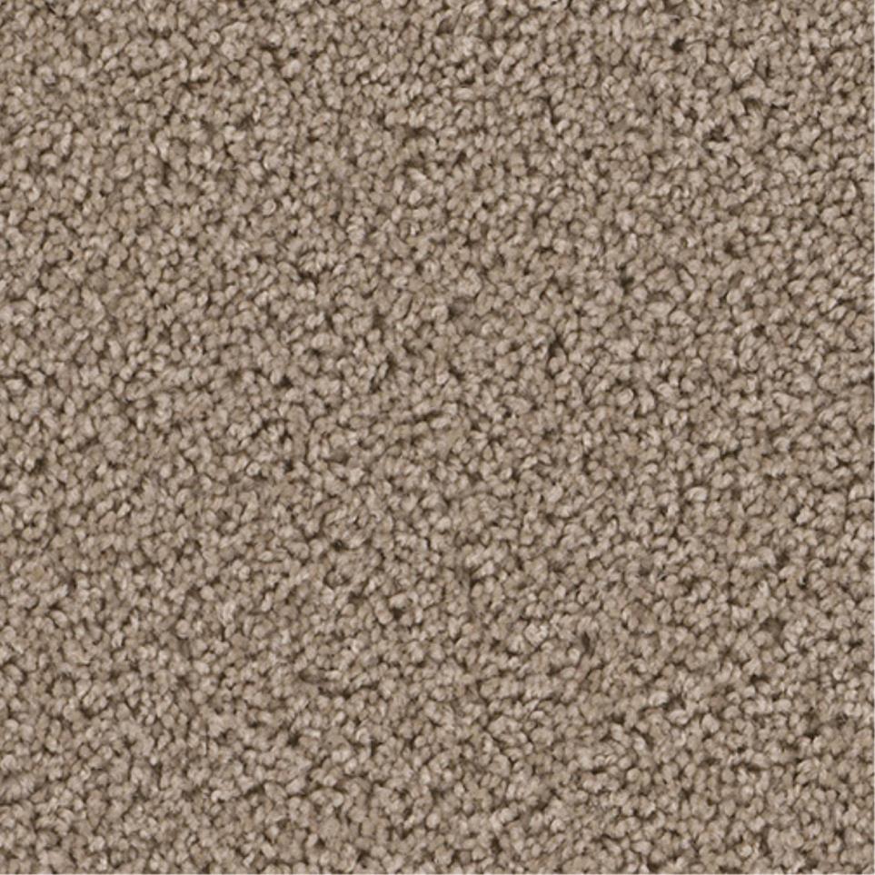 Textured Saxony Admire Beige/Tan Carpet