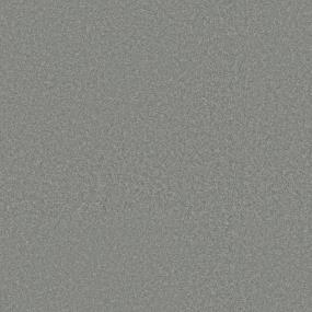 Plush Saxony Perfect Landing Gray Carpet