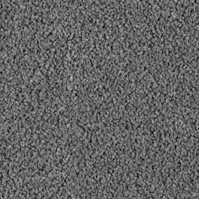 Textured Saxony Wishing Well Gray Carpet