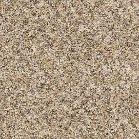 Textured Saxony Hazy Beige/Tan Carpet