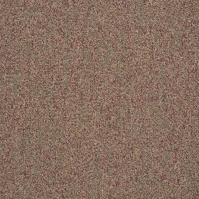 Loop Cymbal Beige/Tan Carpet