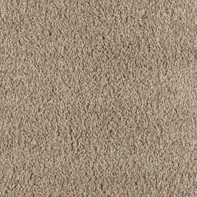 Textured Saxony Birdseye Maple Beige/Tan Carpet