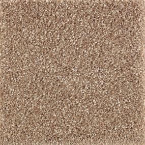 Textured Saxony Rumcake Beige/Tan Carpet