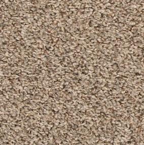 Texture Haven Beige/Tan Carpet