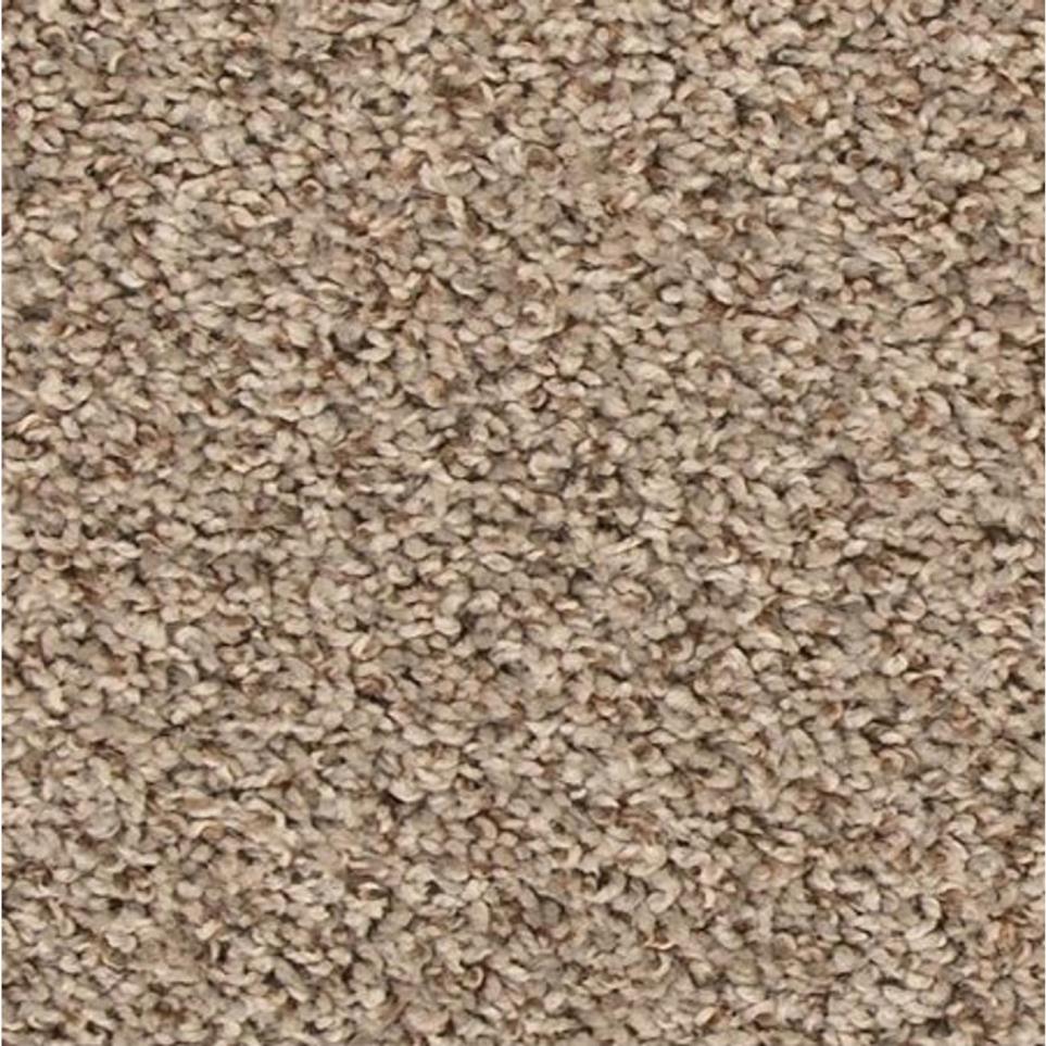 Textured Saxony Haven Beige/Tan Carpet