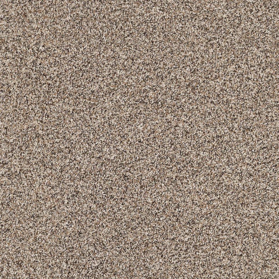 Texture Tin Can Brown Carpet