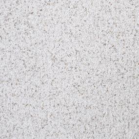Textured Saxony Gracious Gray Carpet