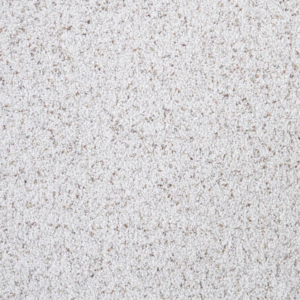 Textured Saxony Gracious Gray Carpet